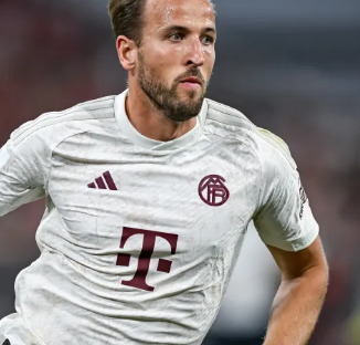 来越受欢迎 来越受欢迎