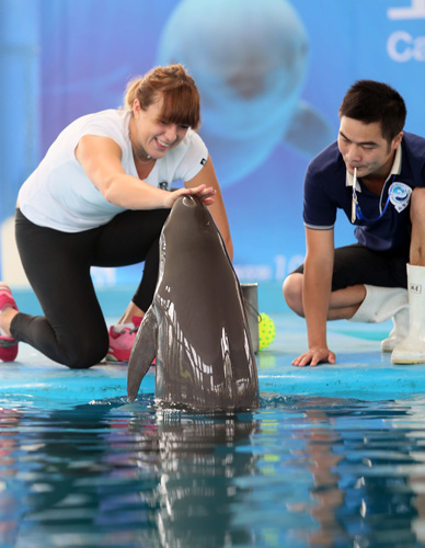 恩佐的职业 恩佐的职业