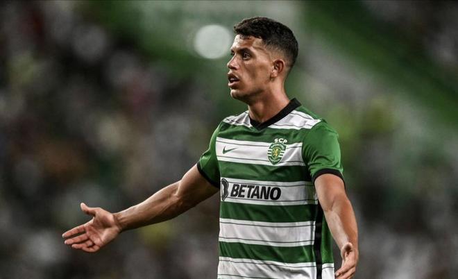 手进行了 手进行了