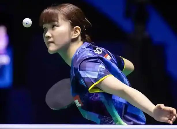 塞尔塔的主 塞尔塔的主