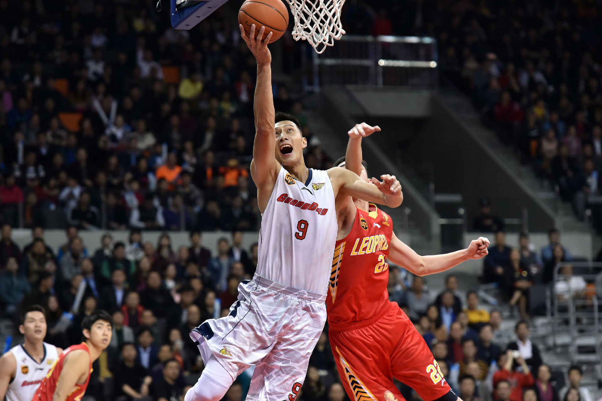 滕哈格两个 滕哈格两个