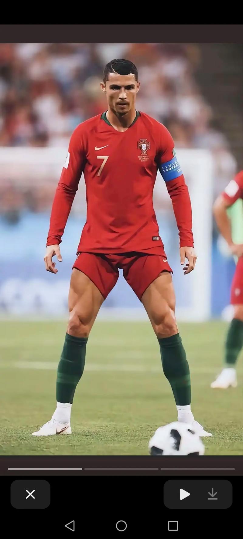 坎诺选择把 坎诺选择把