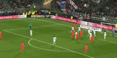 语言与文化 语言与文化